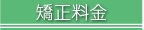 but_on06.JPG